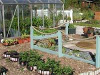 Gardening without a garden in London image