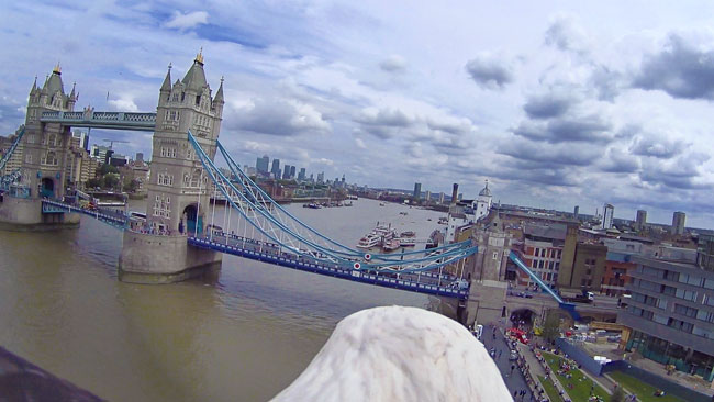 Tower Bridge