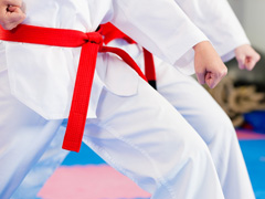 Martial Arts Instruction image