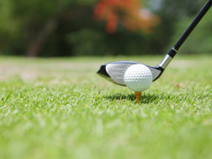 Golf Equipment Shops image