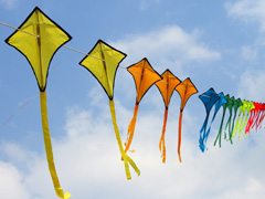 Kite Shops image