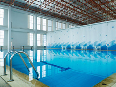 Swimming Pool Dealers & Installers image