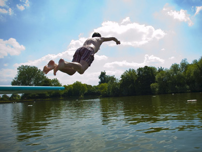 Swimming in the wild image