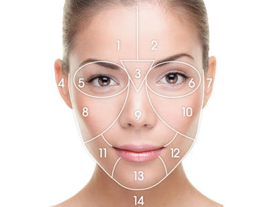 Get a free face map image