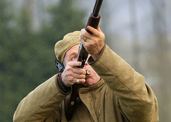Shoot something  image