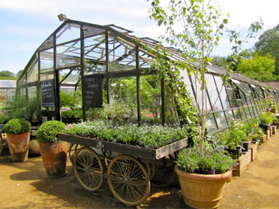 Enjoy a taste of country living image