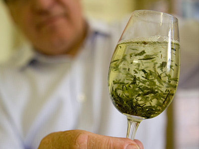 Take a Gin Tour image