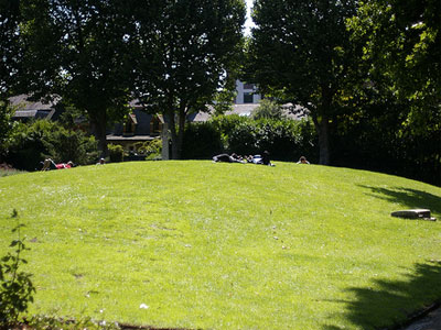 Lunch among headstones image