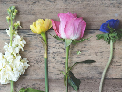 Learn flower arranging image