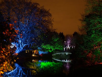 Visit the Enchanted Winter Woodland image