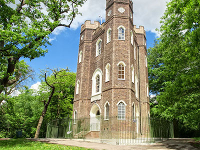 Step inside a secret castle in the woods image