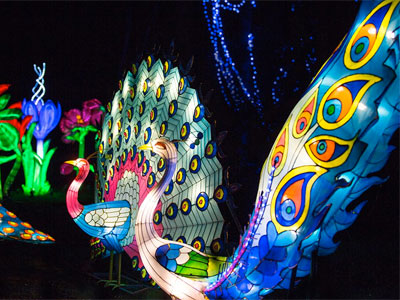 Explore the Silk Road at the Magic Lantern Festival image