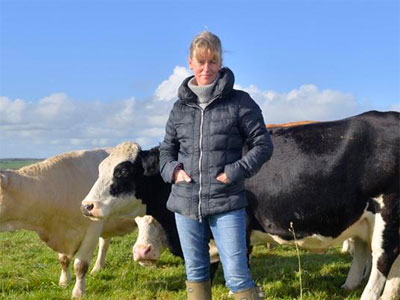 Celebrate British food for a fortnight  image