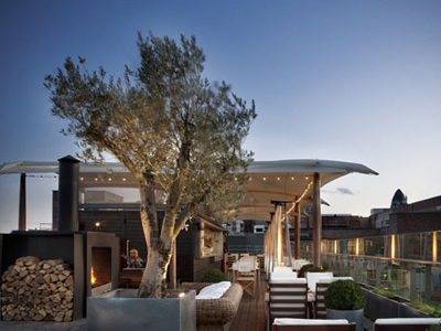 Enjoy an olive-tree rooftop haven image