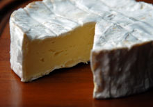 Cheese and wine tasting image