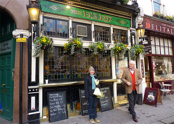 The Harp  is nation's best boozer picture