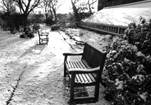 Feeling Reflective in the Winter Weather? image