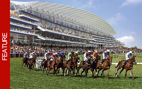 Looking To Keep The Kids Entertained This Summer? Try Ascot! image