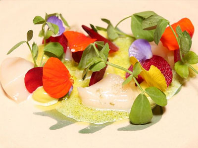 Cured scallops, pickled beetroot, h