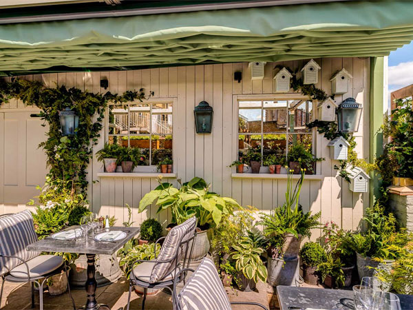 The Ivy Cafe image