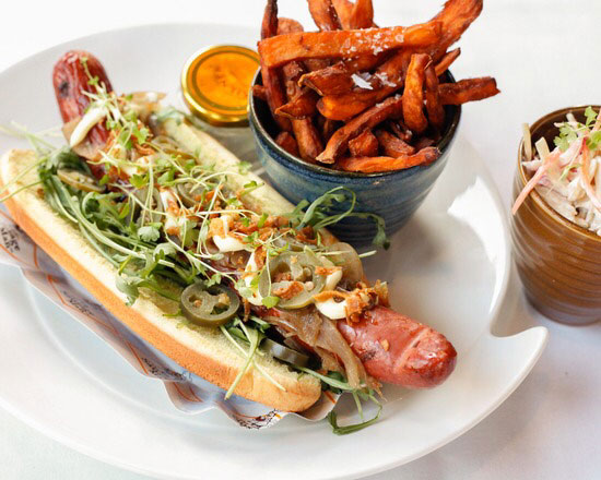 Vegan Dog Outside The Box