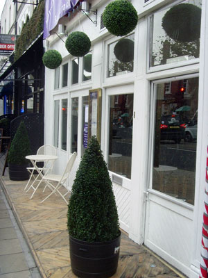 40 The Hill image