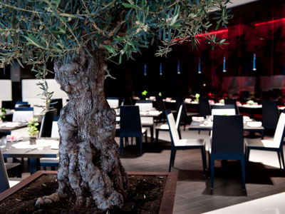 Brasserie Joël image