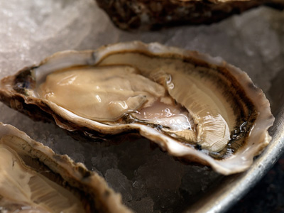 Wright Bros Oyster House Picture