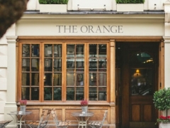 The Orange image