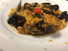 Allora image