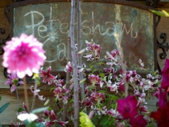 Petersham Nurseries Cafe image