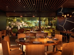 Novikov image