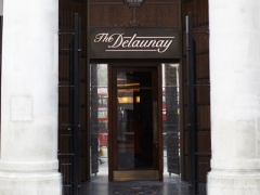 The Delaunay image