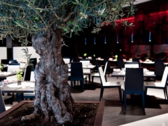 Brasserie Joël image