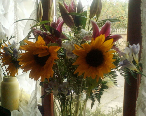 Review picture