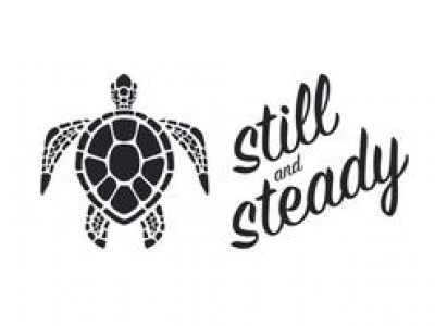 Still and Steady image