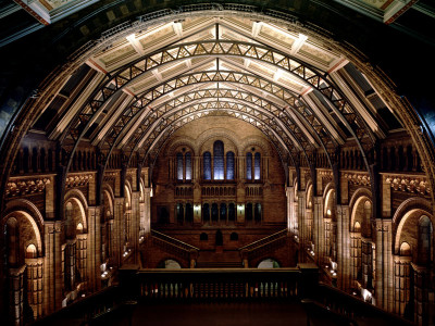 Stay Late @ The Natural History Museum image