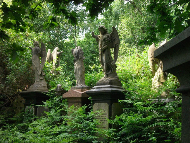 Take a walk through a magnificent cemetery picture