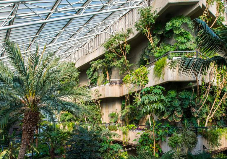 Visit a tropical oasis inside a conservatory picture