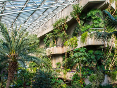 Visit a tropical oasis inside a conservatory image