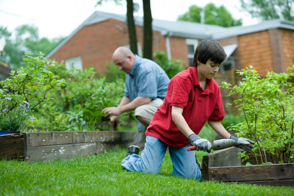 Top 5 Tips to Get Your Garden Ready For Winter picture