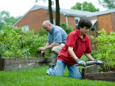 Top 5 Tips to Get Your Garden Ready For Winter image