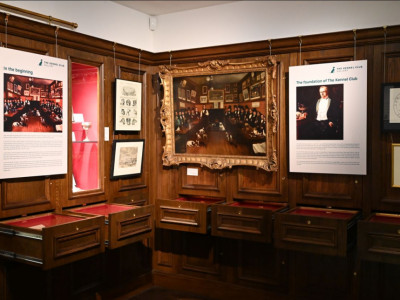 150 years of the Kennel Club celebrated in new Exhibition image