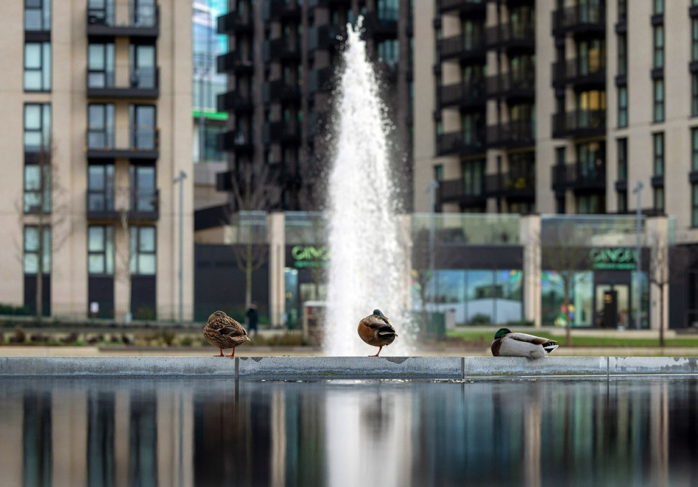 Young photographers invited to celebrate nature in Wembley Park this half term picture