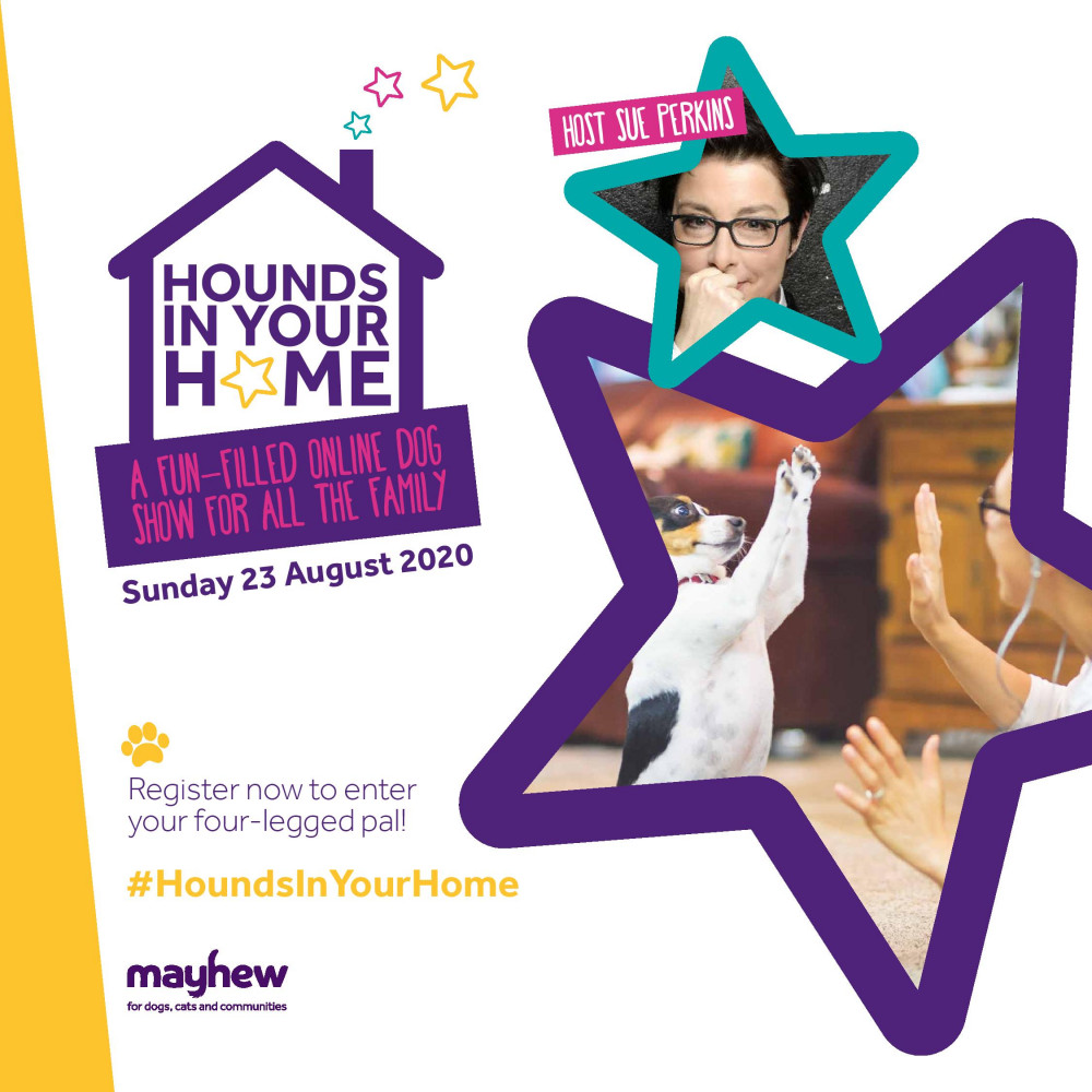 Hounds in your Home image