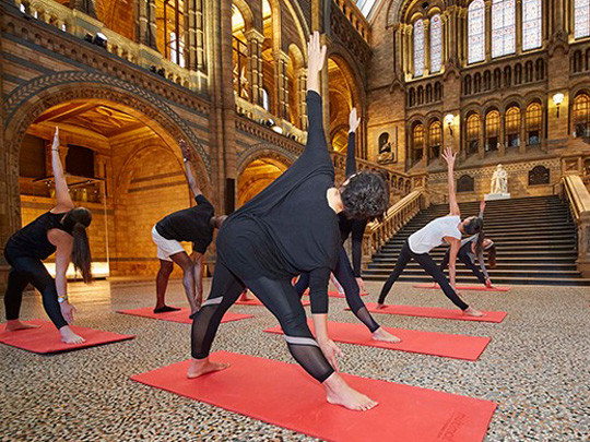 Yoga at the Natural History Museum image