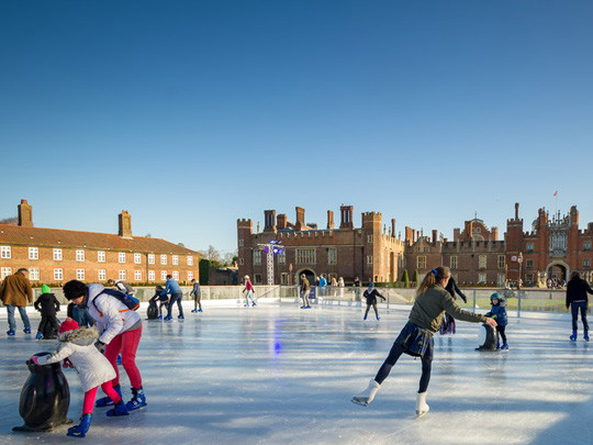 Hampton Court Ice Rink image