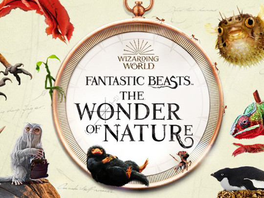 Fantastic Beasts and the Wonder of Nature image