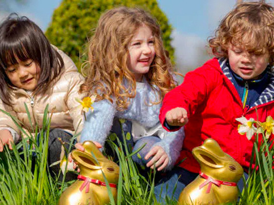 Easter Lindt Gold Bunny Hunt image