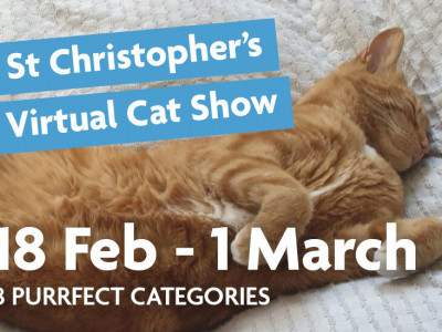 St Christopher's Virtual Cat Show image